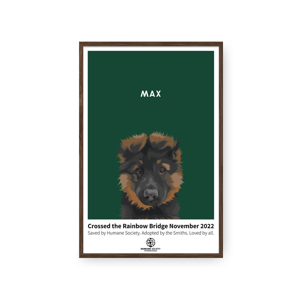 Humane Society International -Modern Pet Portrait