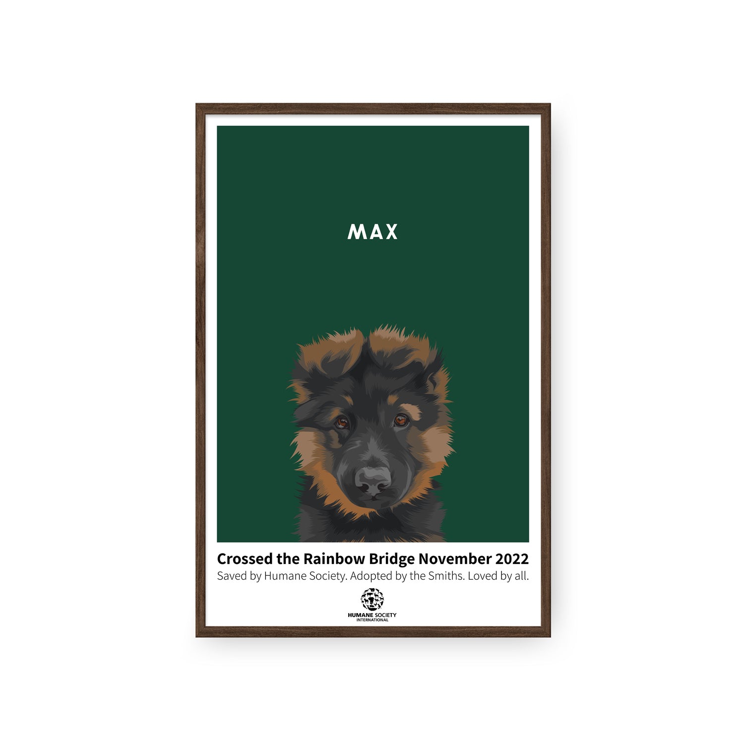 Humane Society International -Modern Pet Portrait