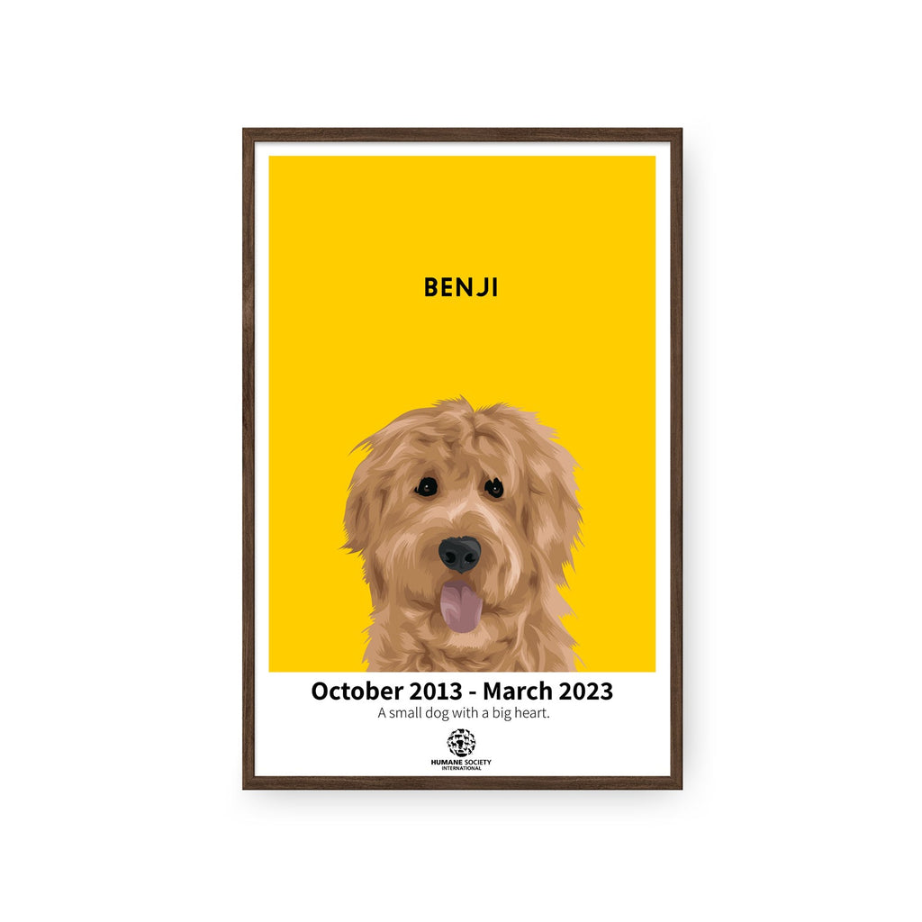 Humane Society International -Modern Pet Portrait