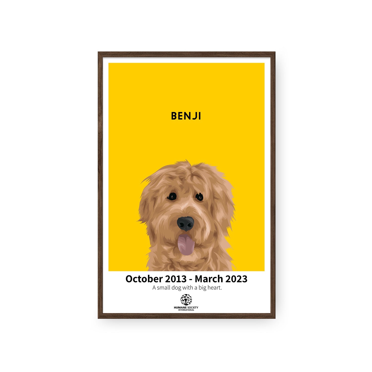 Humane Society International -Modern Pet Portrait