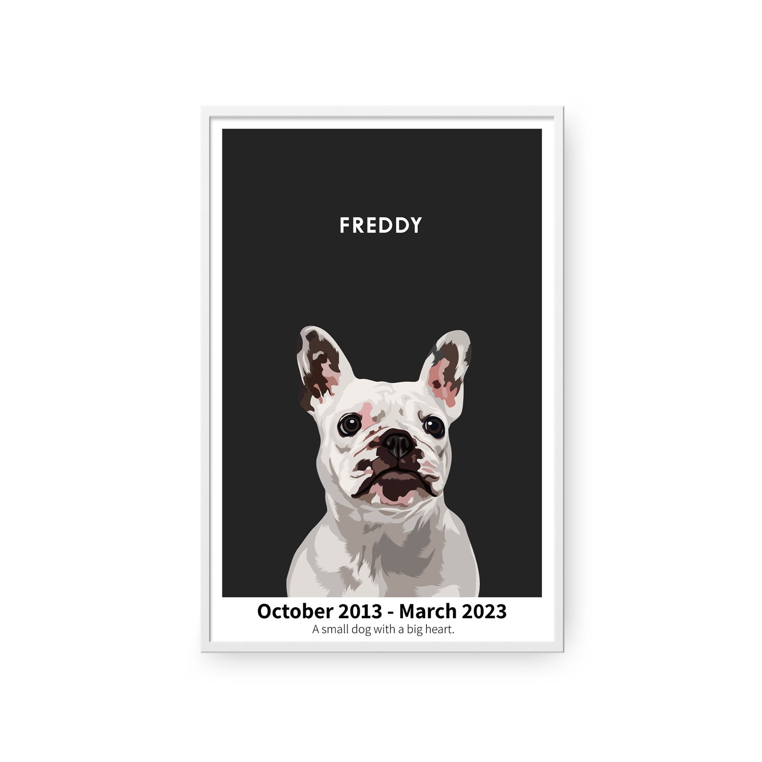 Humane Society International -Modern Pet Portrait