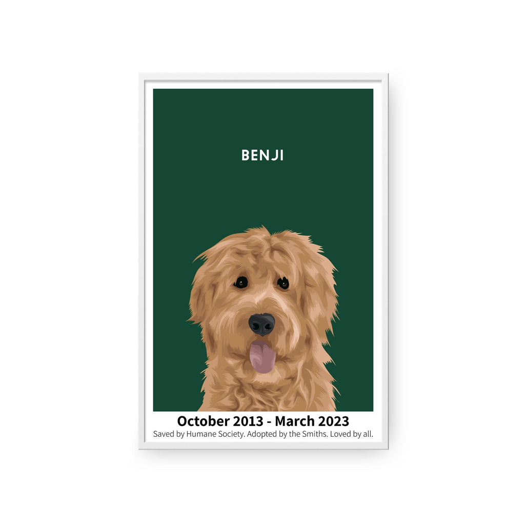 Humane Society International -Modern Pet Portrait