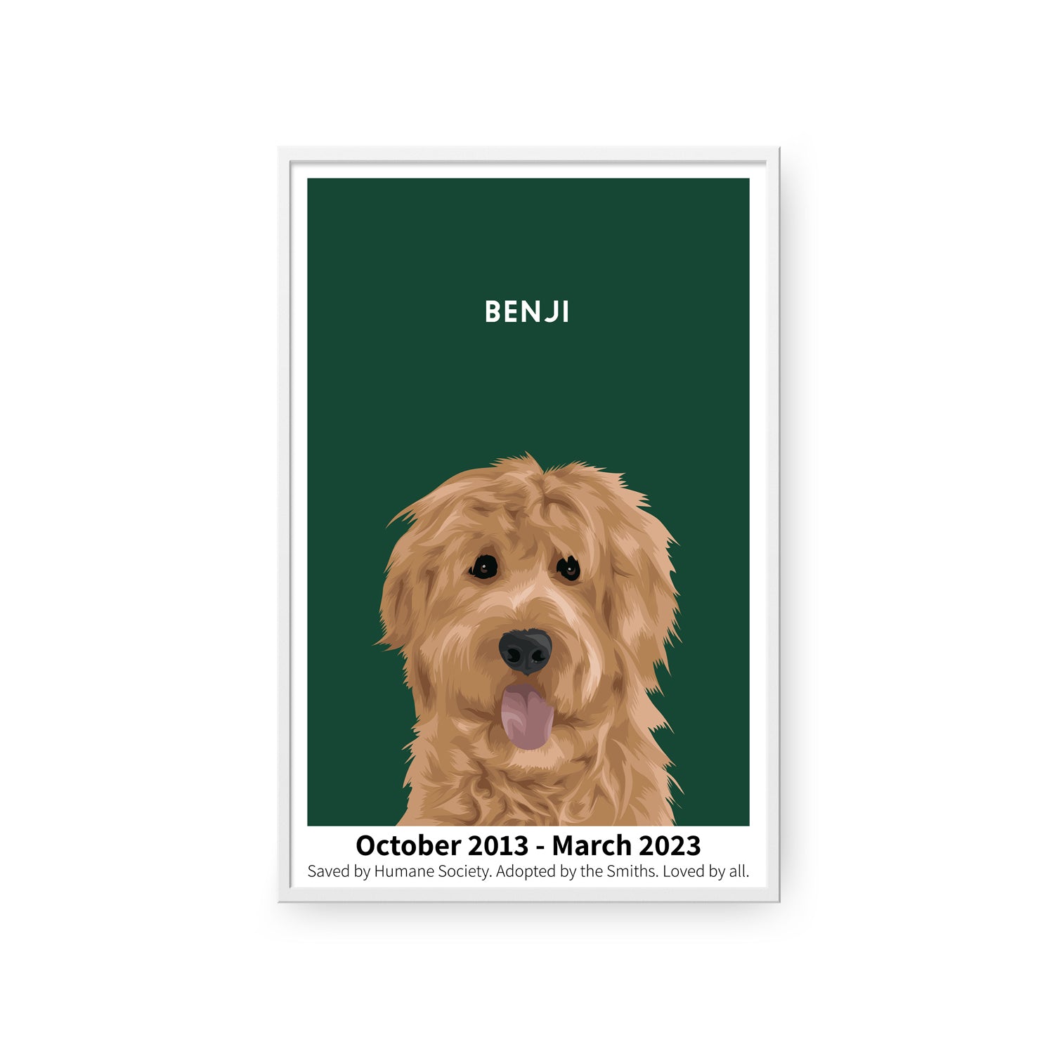 Humane Society International -Modern Pet Portrait