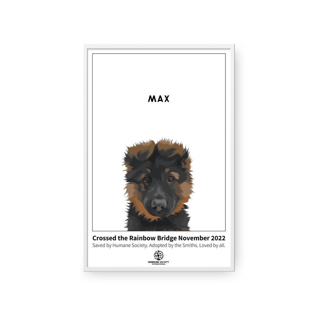 Humane Society International -Modern Pet Portrait