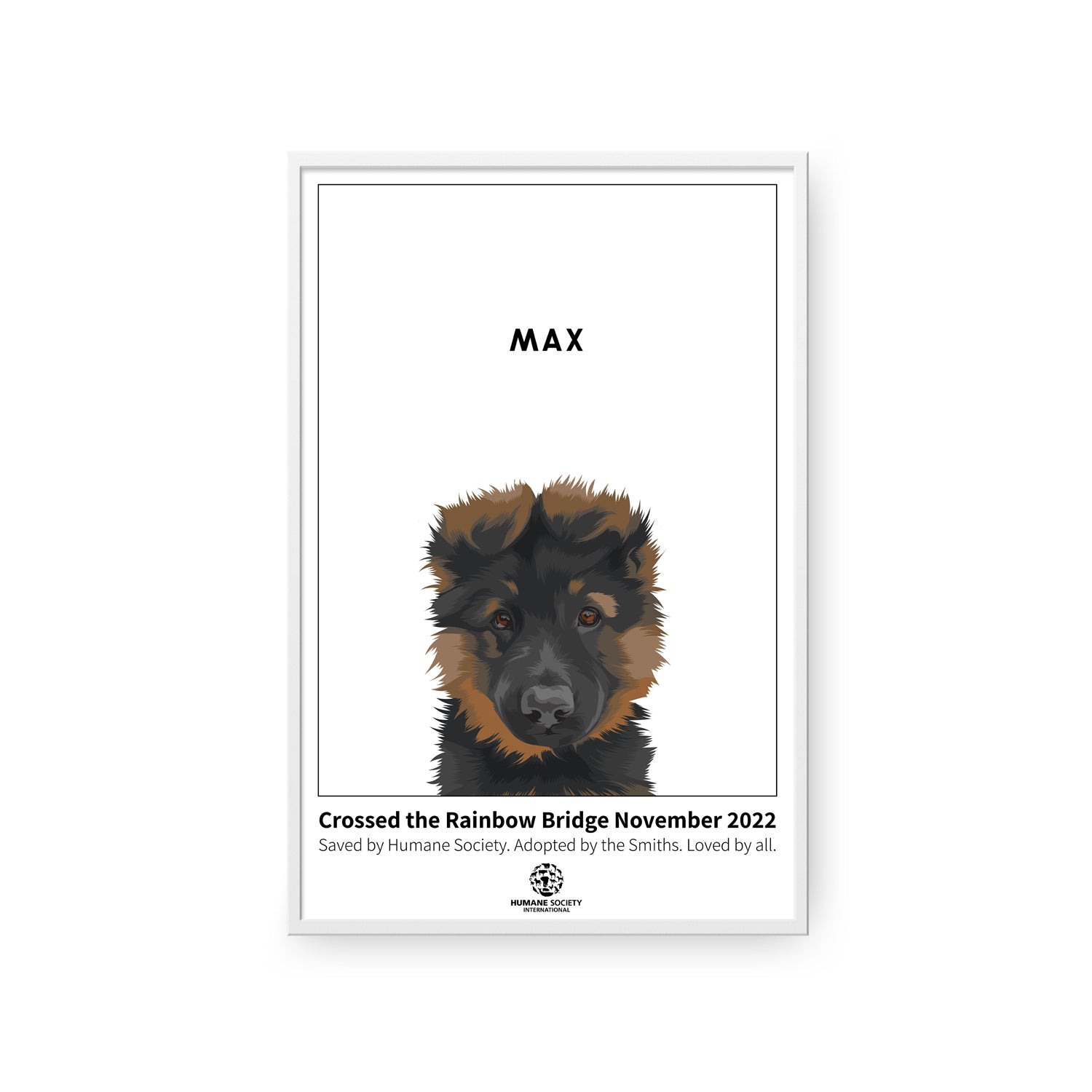 Humane Society International -Modern Pet Portrait