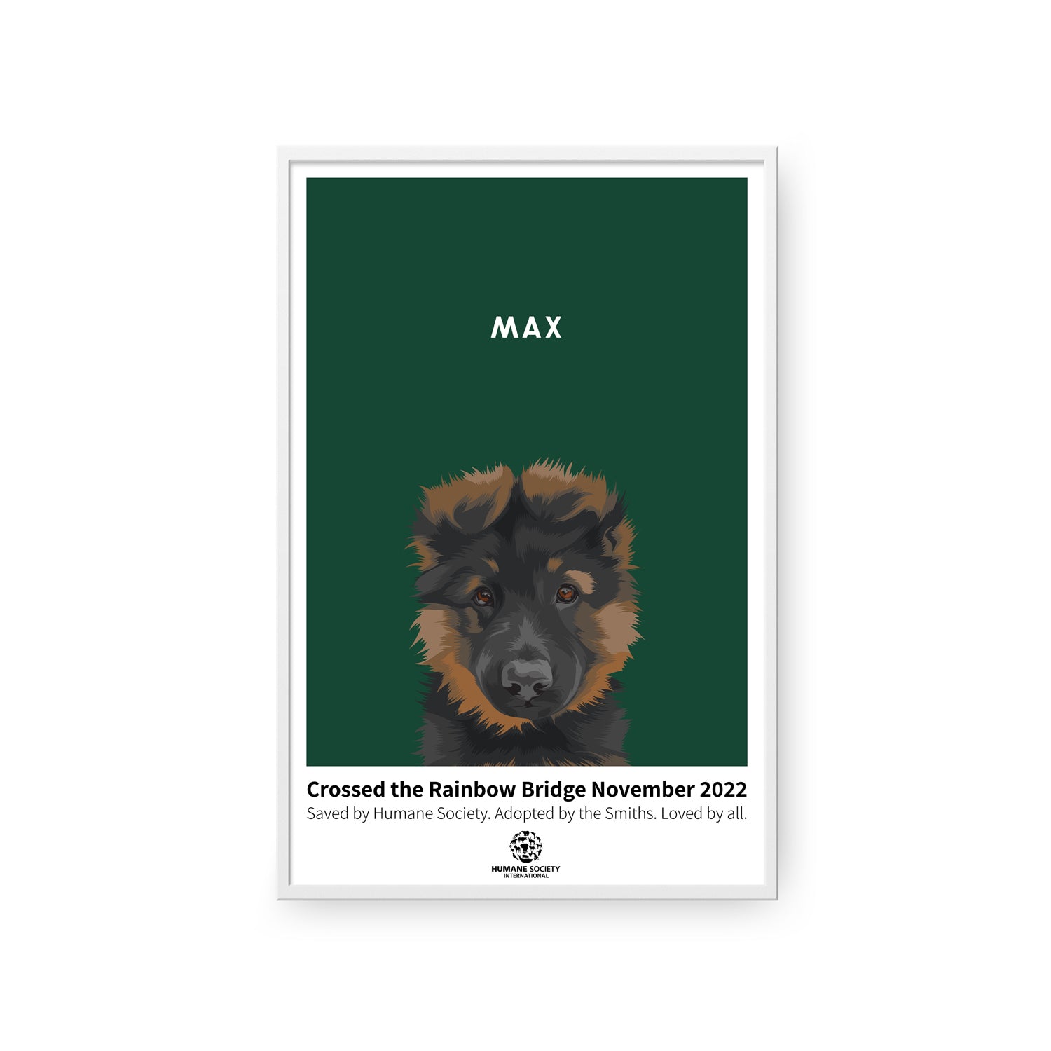 Humane Society International -Modern Pet Portrait