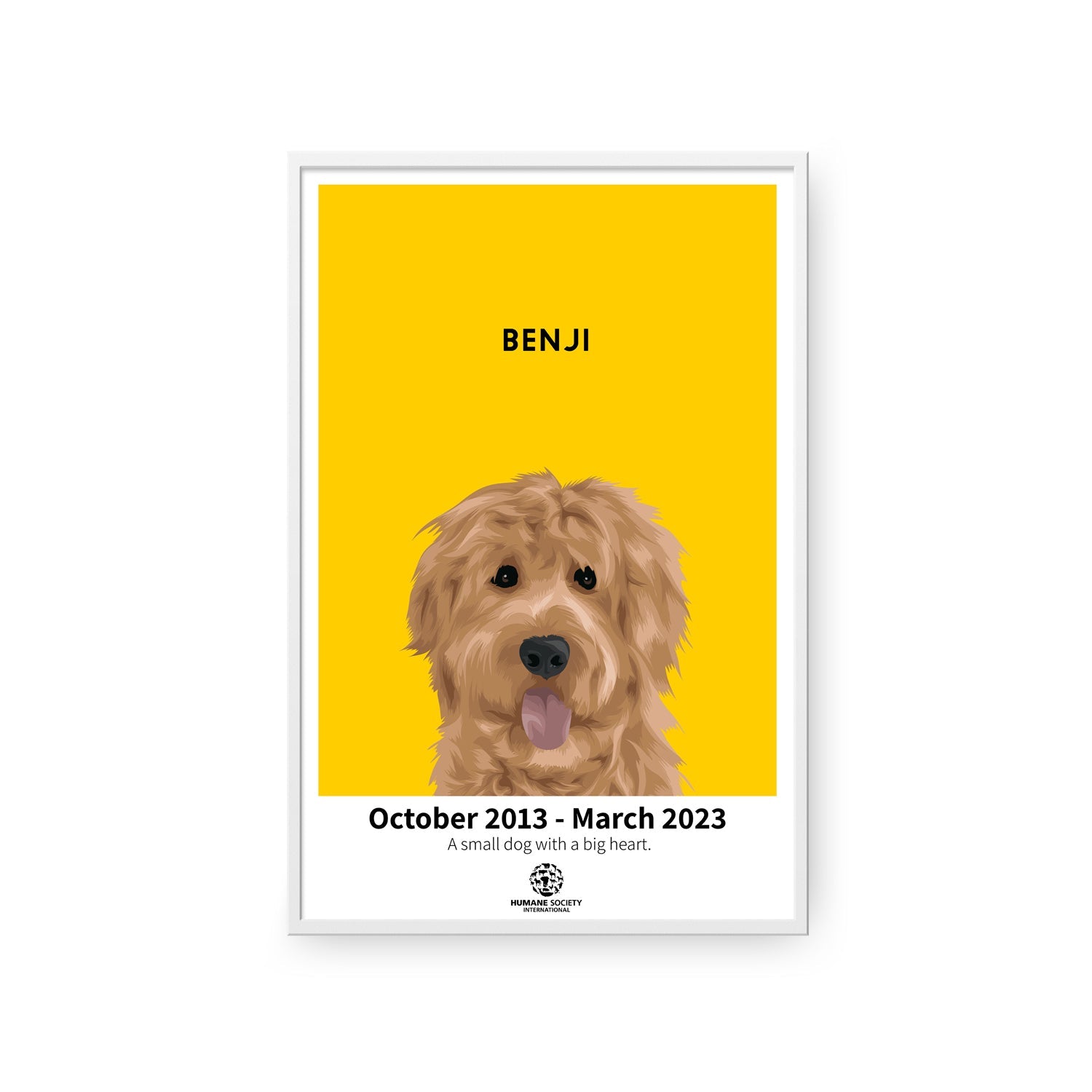 Humane Society International -Modern Pet Portrait