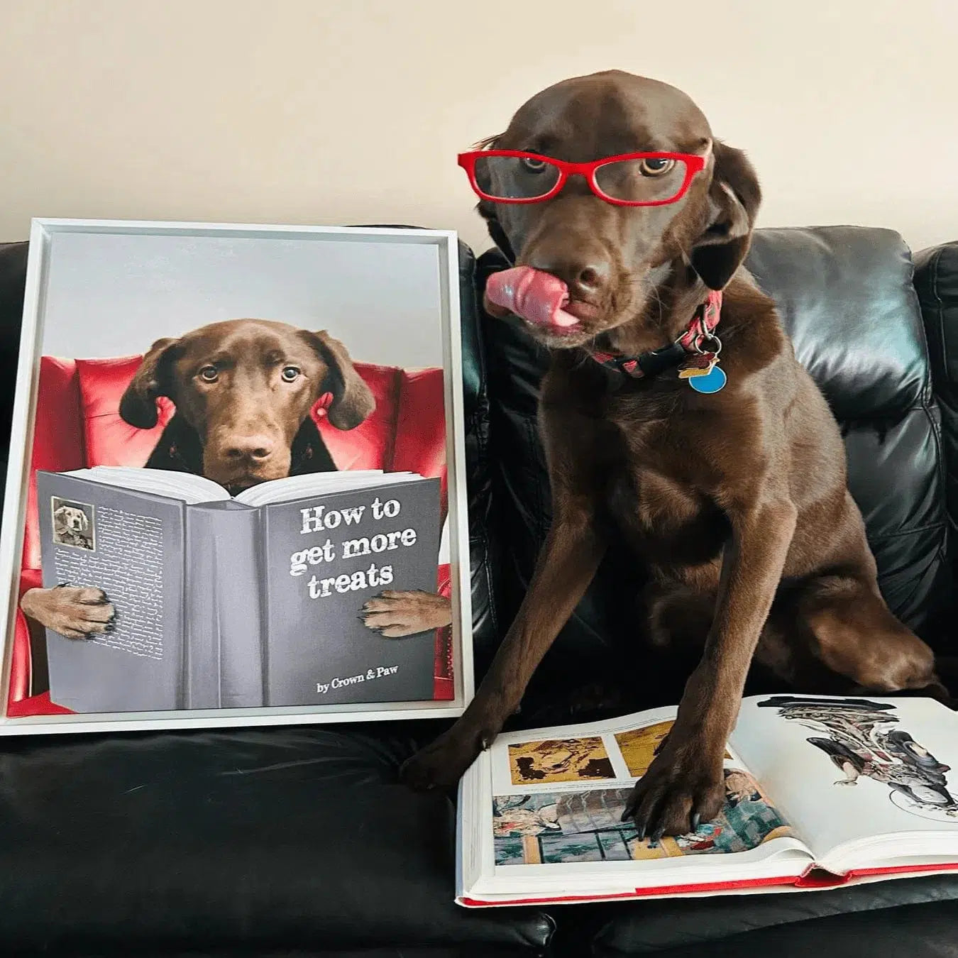 Pet Reading a Book-Custom Pet Poster