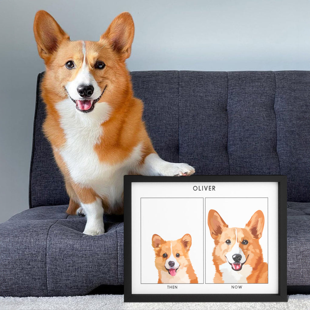 Puppy to Adult Pet Portrait