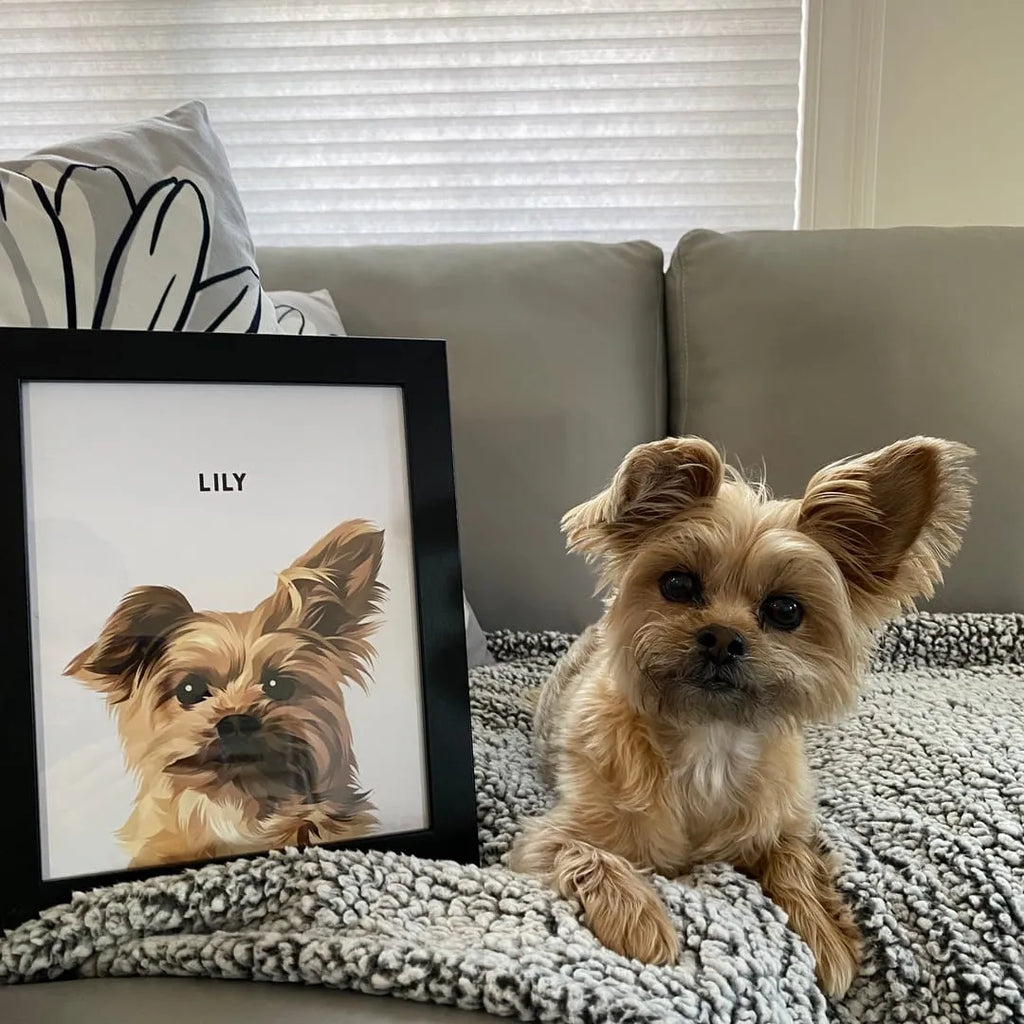 Modern Pet Portrait -not just dog