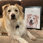 Handsome pets-Modern Pet Portrait