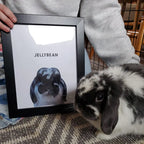 Handsome pets-Modern Pet Portrait