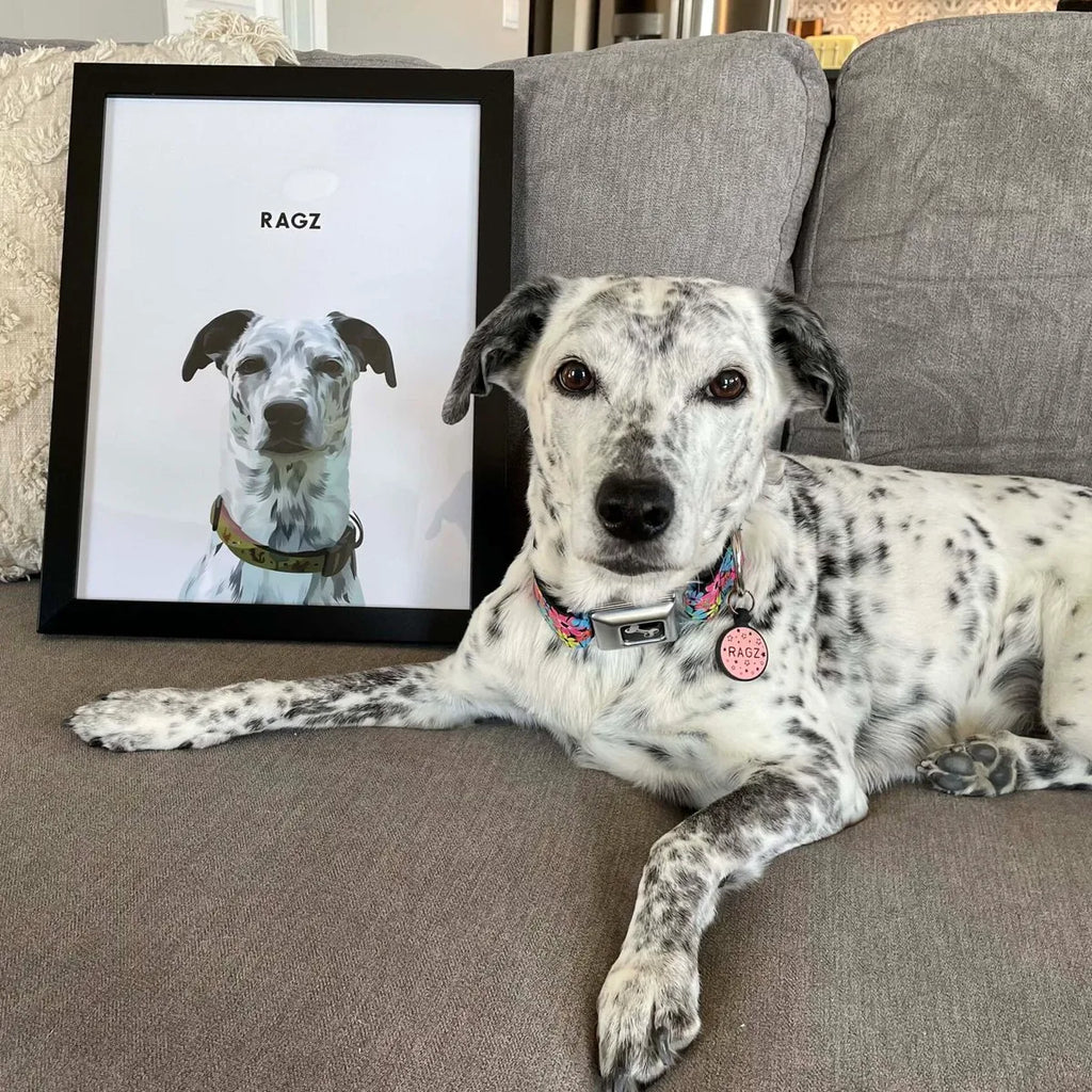 Modern Pet Portrait -not just dog