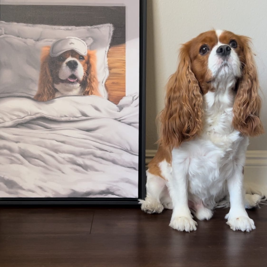 The Sleeping Pet - Custom Pet Poster